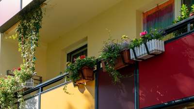 Sehr günstige Dreiraumwohnung im grünen Grünau · frei ab 22.09.2026