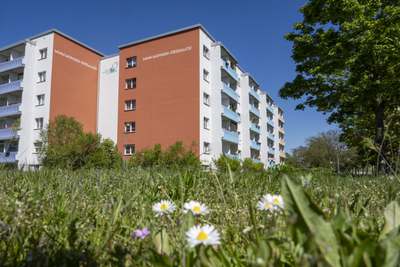 3-RWE im Zentrum