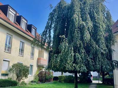 Miete: Kindergartenstr.9/2 4533 Piberbach