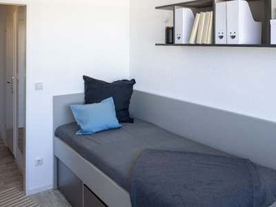 Studio Comfort Plus