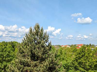 *Wohlfühldomizil MIT BALKON* · Friedeburg · 3.OG · Verfügbarkeit: sofort