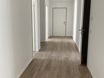 4-Zimmer-Wohnung in Essen Südviertel