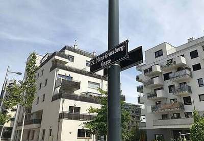 Wohnung · Mimi-Grossberg-Gasse 4 · Top 1/5B