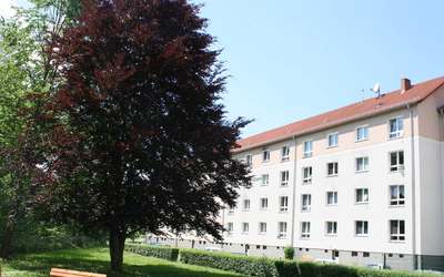 2-Zimmer-Wohnung, Pirna-Suedvorstadt · 2. Obergeschoss, rechts