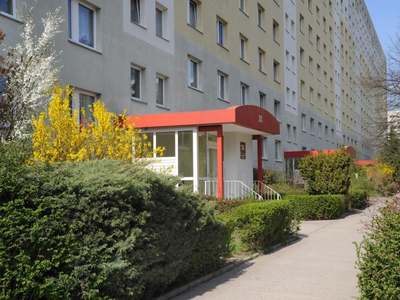 Gemütliche 1 Zimmer Wohnung