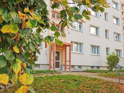 Praktische 3-Raumwohnung · Wasserberg · 2.OG · Verfügbarkeit: sofort
