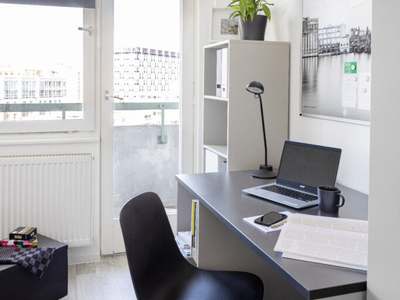 Studio Comfort Plus