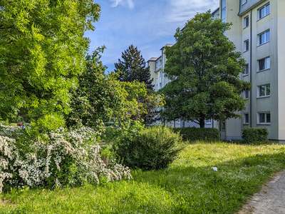 *Balkonwohnung gesucht?* · Friedeburg · EG · Verfügbarkeit: sofort