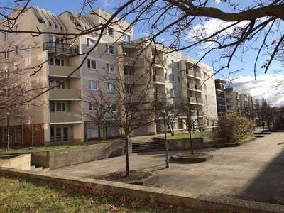 Helle Wohnung mit neuem Bad im Süden von Halle · frei ab 01.04.2025