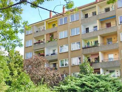 Schöne Wohnung sucht Mieter: individuelle 3-Zimmer-Wohnung (WBS)