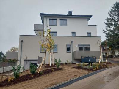 2-Zimmer-Wohnung mit Balkon · Staatz · Top 104 · EG · frei ab April 2027