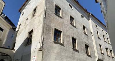 2-Zimmer-Wohnung · ALTHANGASSE 2 · Top 0100
