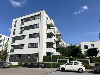 Großzügige Neubauwohnung zur Miete in Hamburg Bergedorf · frei ab 01.07.2026