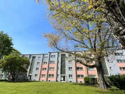 Am Alefskamp 79D, Duisburg-Alt-Homberg