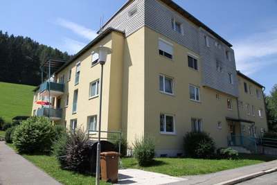 3-Zimmer-Wohnung · Seilbahngasse 11 · ab sofort