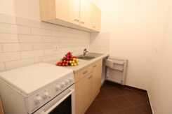 1-Raumwohnung mit Miniküche im Kappler Stadtgarten