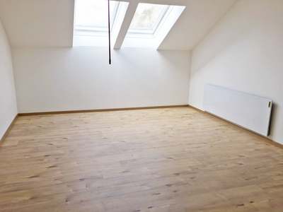 Singelwohnung im Dachgeschoss · Top 6