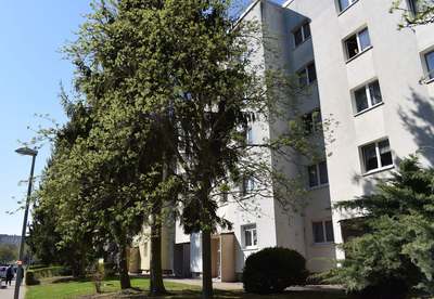 Familienwohnung mit wenigen Stufen