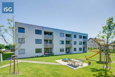 Objekt 2137: Top 13 I 2-Zimmer I Küche | 4910 Ried im Innkreis