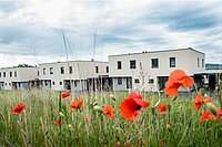 Reihenhaus: Perschling, Alpenblickgasse 3+6 | RH 11 | Privat zu Privat