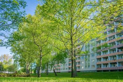 NEU sanierte 3-Raum-Wohnung in begrünter Wohnlage · frei ab 01.10.2026