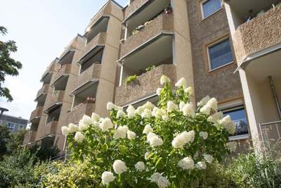 Deine neue Wohnung