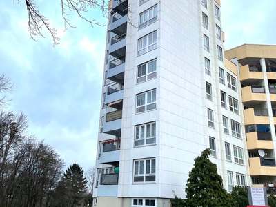 Mittendrin! Großzügiges 1-Zi.-Single-Appartment