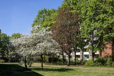 Berlin, Bramwaldweg 13, 2.OG links