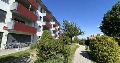 2-Zimmer-Wohnung · LANGENLOIS XI A 1 · Top 10