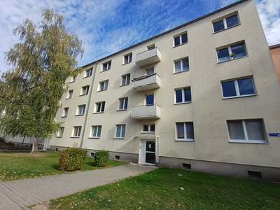 Viel Platz für Sie und Ihre Familie - neu saniert - 1. OG rechts