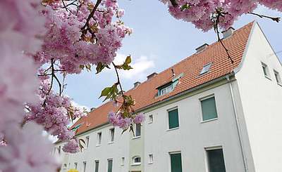 2-Zimmer-Wohnung · Neubaugasse 4 / 6 · 1. Obergeschoss