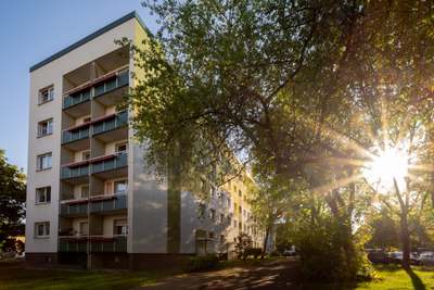 Perfekt für den Start – Gemütliche 1-Raum-Wohnung · frei ab 01.11.2026