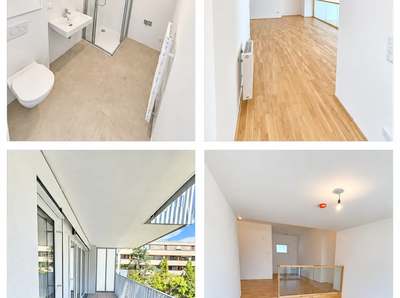Wohnung · Degengasse 3 Top 8