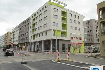 Schenk-Danzinger-Gasse 12/6/13