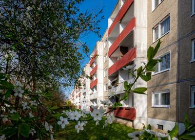3 Raum-Wohnung im Grünen · frei ab 01.11.2026