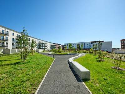 Am grünen Bogen - Traumhafte 2-Zimmerwohnung in Kronsrode! · frei ab 01.12.2025