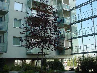 2-Zimmer-Wohnung · Wehlistraße 57 Top 13