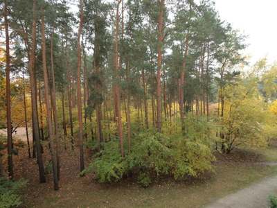 Wohnen am Wald, nicht weit zum Müggelsee!