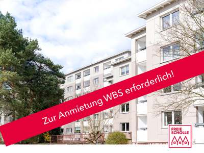 Modernisierte 3-Zimmer-Wohnung mit Balkon · frei ab 01.11.2026 · Genossenschaft – Mitgliedschaft erforderlich; Hunde und Katzen laut Anbieter nicht erlaubt · Genossenschaftsanteile 2.050,00 €