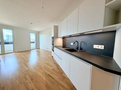 ERSTBEZUG am Hauptbahnhof: EXKLUSIVE DACHGESCHOSSWOHNUNG mit Dachgarten und wunderschönem Wienblick! · Neubau